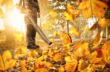 Man cleaning the yard with a leaf blower