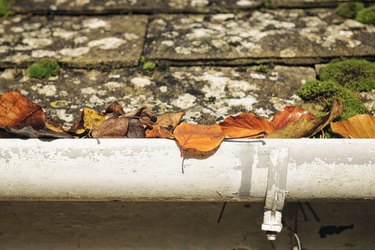 Autumn leaves blocking a gutter