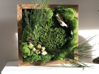 DIY Moss Wall Art Kit