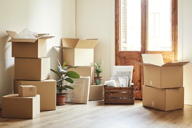 Moving boxes and potted plants