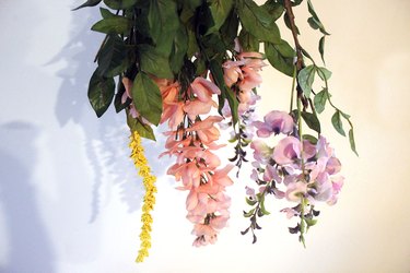 hanging blooms