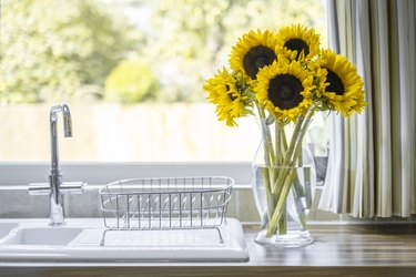 Lovely Sunflowers