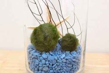 moss balls