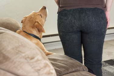 Woman's back side covered in pet hair.