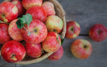 Basket with apples harvest in garden, top view