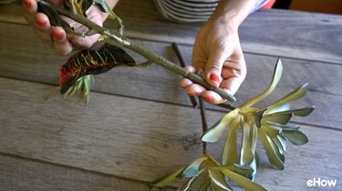 Stem of artificial croton plant.