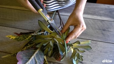 Removing fake-looking part from a faux aloe plant.