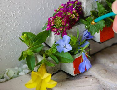 Plants in place, being watered