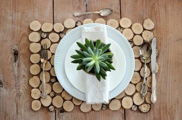 Sliced Birch Branch Placemats