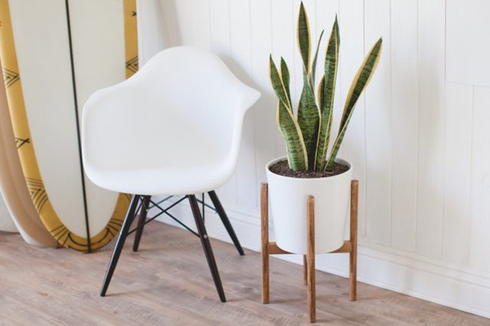 Mid-centruy modern plant stand