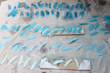 Spray paint feathers