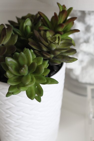 Faux succulent pen planter