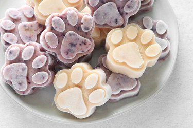 Frozen dog treat popsicles