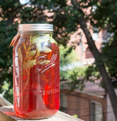 Sun tea, fully brewed in direct sunlight