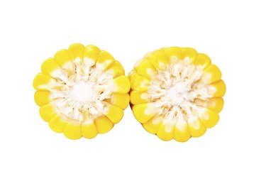 Sweet Corn isolated.