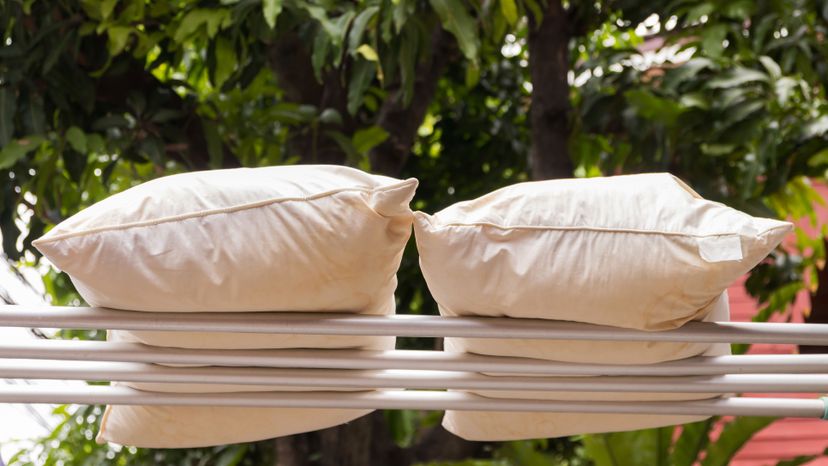 pillow on laundry line