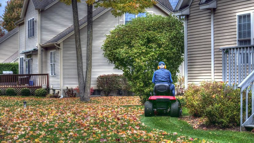 mulching leaves