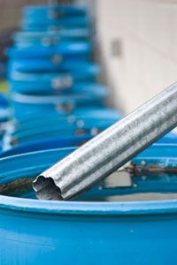 Rain barrels like these will collect water from your roof that can be used to water your garden.