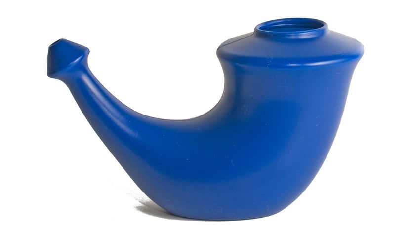 neti pot, sinuses