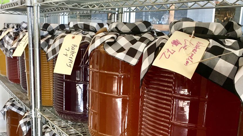 jars of kombucha