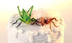 Image Gallery: Cakes from Ultimate Cake Off There's nothing strange about this cake except the grasshopper and cricket perched on the top layer. See more pictures of cakes from Ultimate Cake Off.