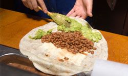 When you're craving a burrito, you've got a hankering for a stuffed tortilla -- not a little donkey.