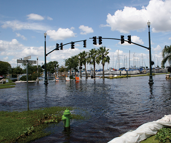 Prepare Your Family for Hurricane Season - 14845